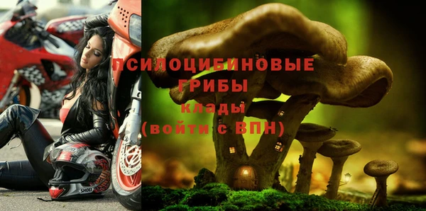 индика Алексеевка